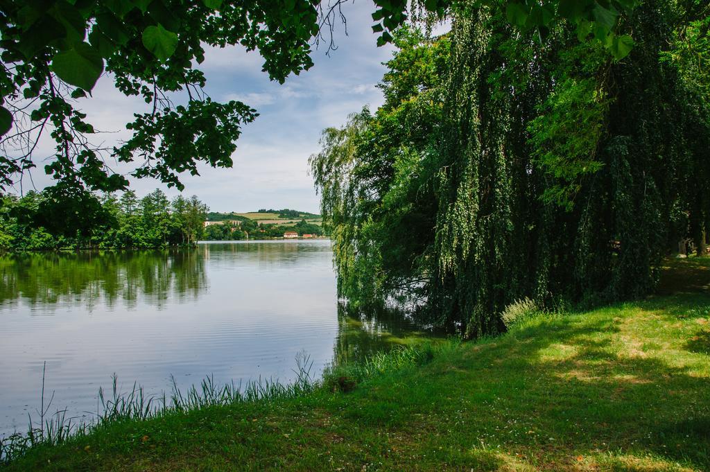 Guest House U Zlateho Jelena Žinkovy Екстериор снимка